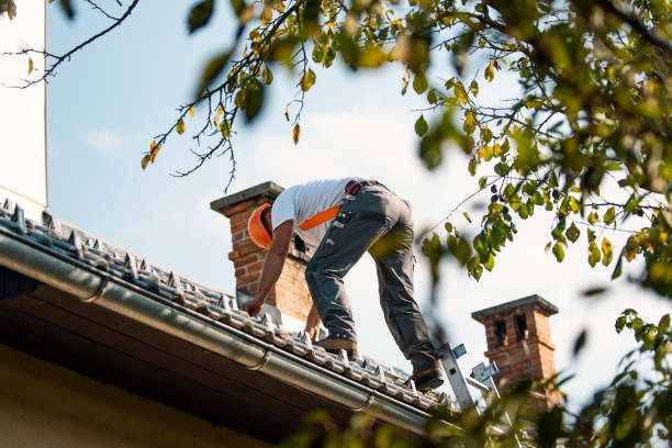 Best Roof Gutter Cleaning  in Chanute, KS