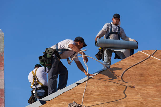 Best New Roof Installation  in Chanute, KS