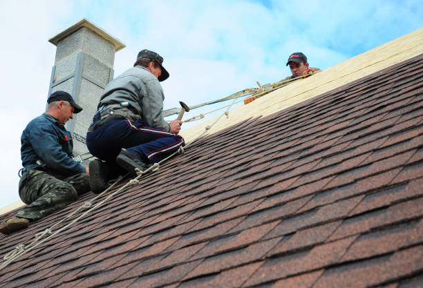 Best Shingle Roofing Installation  in Chanute, KS